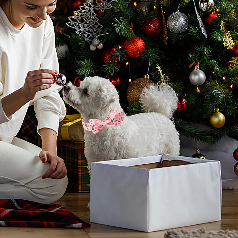 Babole Pet quick-release buckle and sturdy D-ring for easy on/off and leash security.