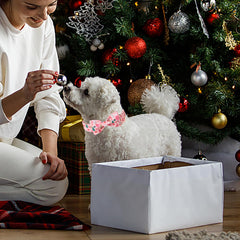 Babole Pet quick-release buckle and sturdy D-ring for easy on/off and leash security.