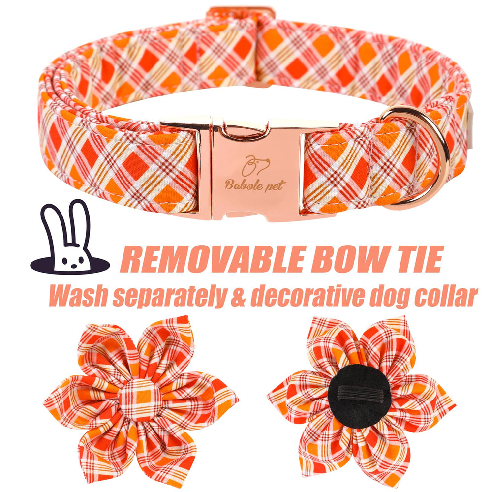 Babole Pet detachable bow with elastic bands for versatile styling.