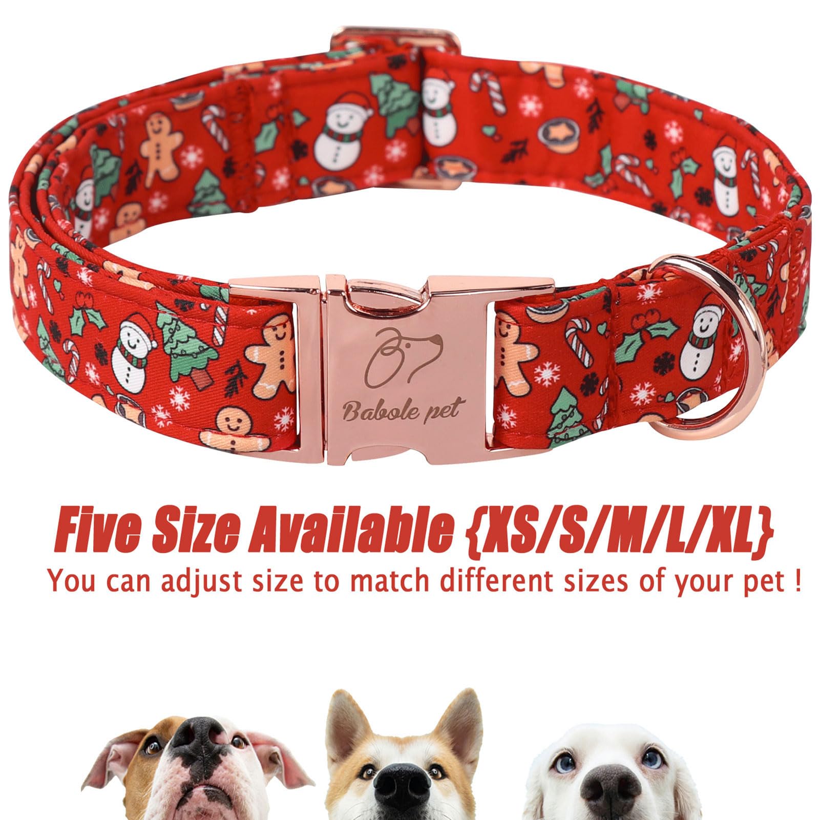 Babole Pet durable collar shot emphasizes double stitching and sturdy buckle for everyday use