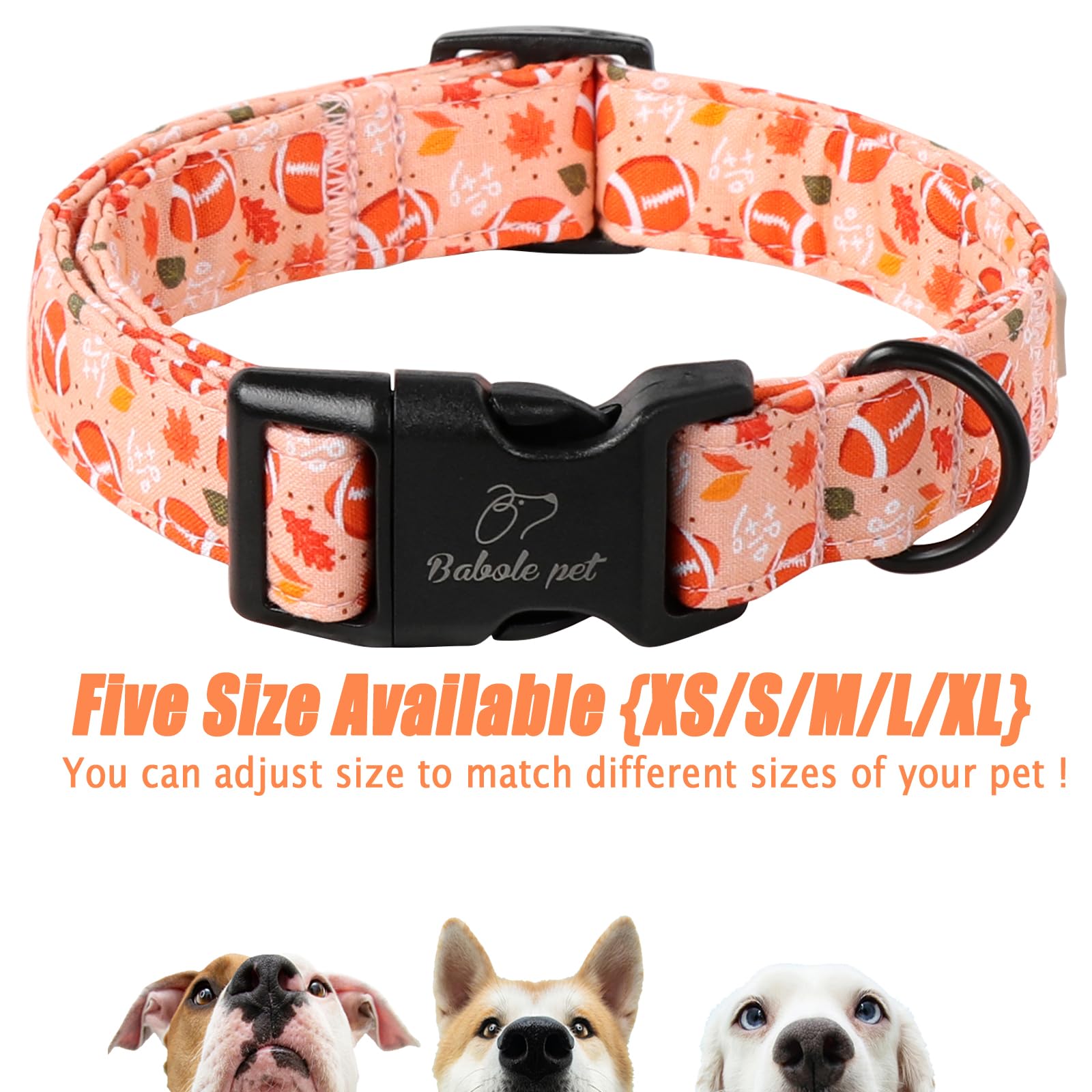 Babole Pet safety buckle and D-ring enable secure, quick release when needed.