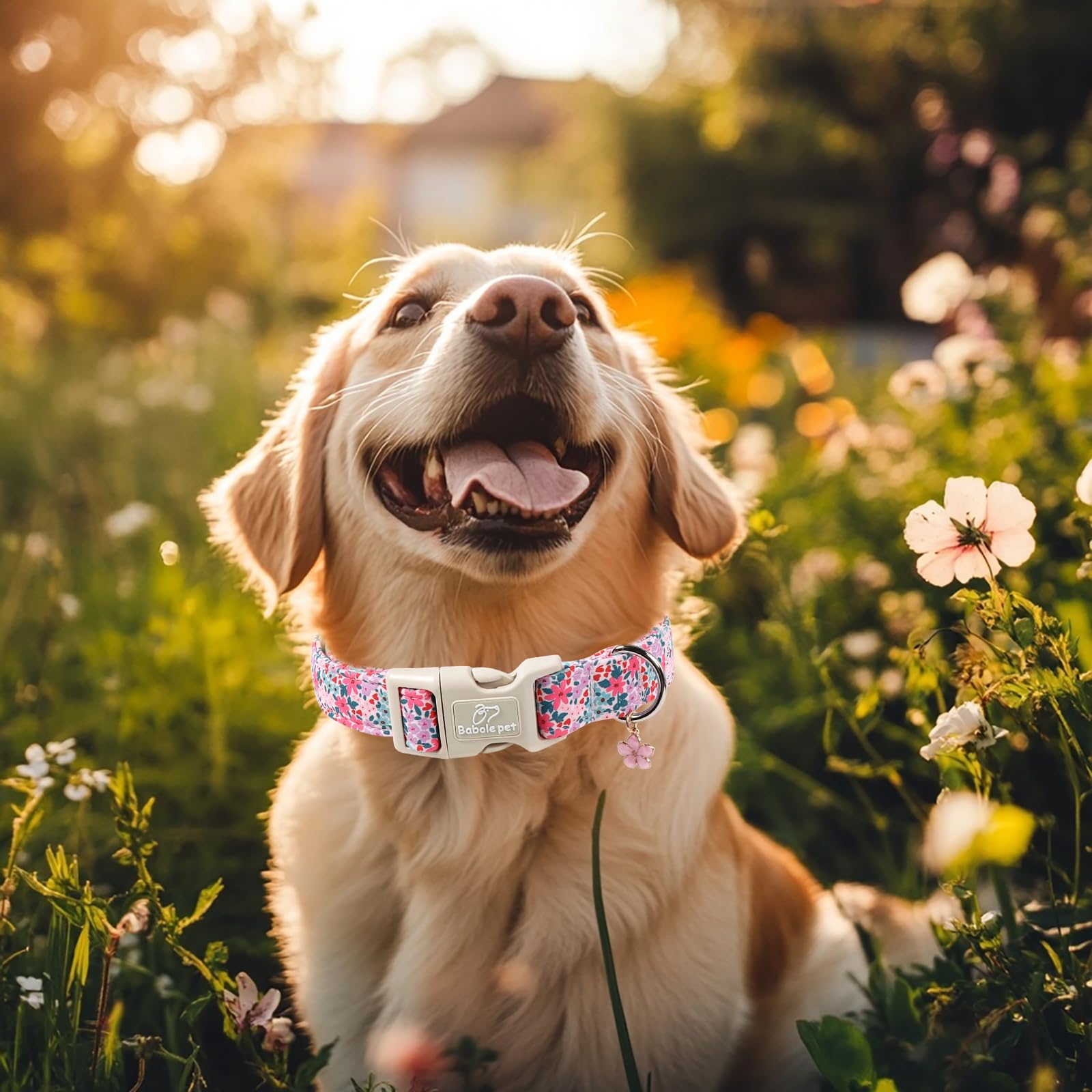 Babole Pet floral dog collar side pattern closeup shows vibrant, scratch resistant print