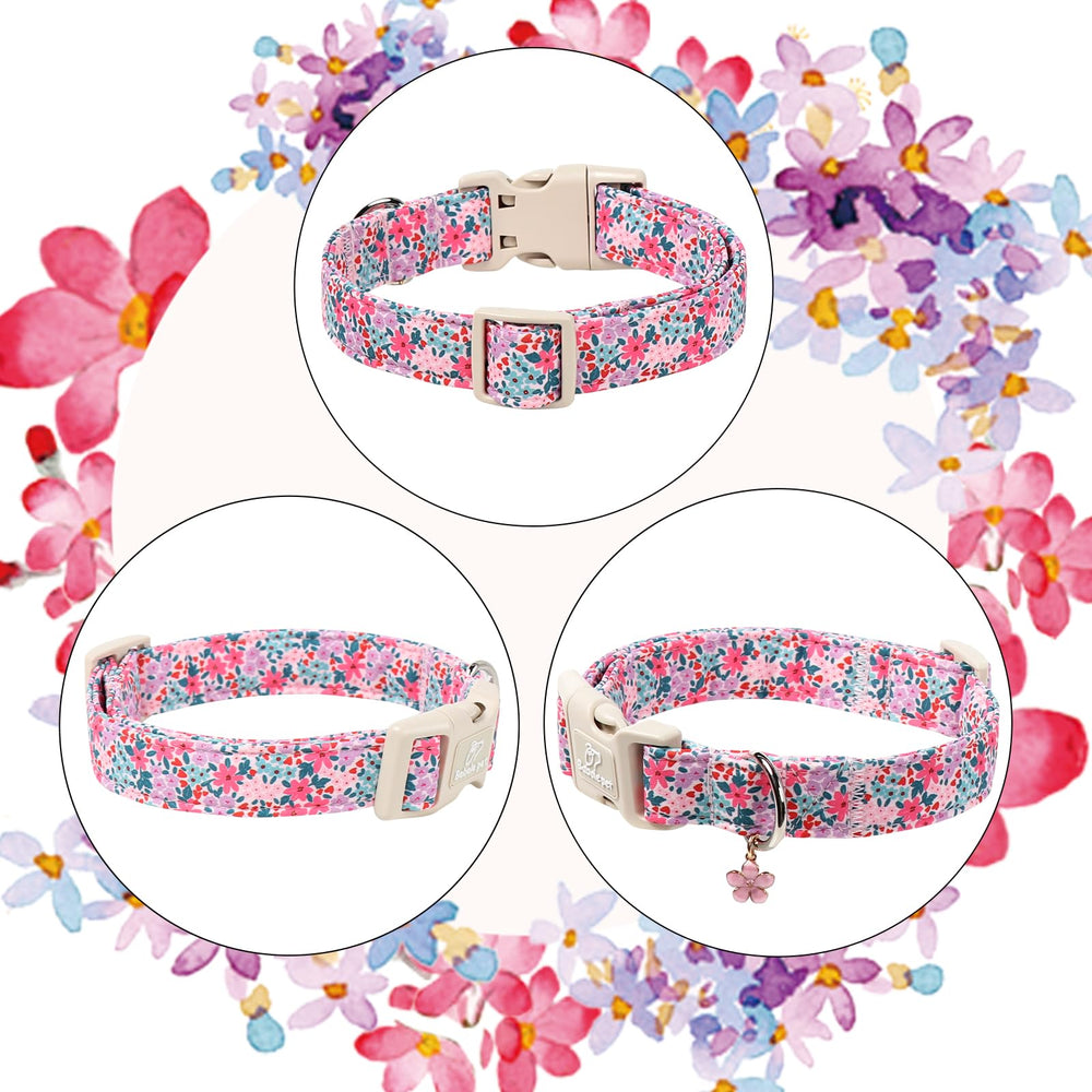 Babole Pet floral collar design coordinates with spring outfits for photo-worthy moments