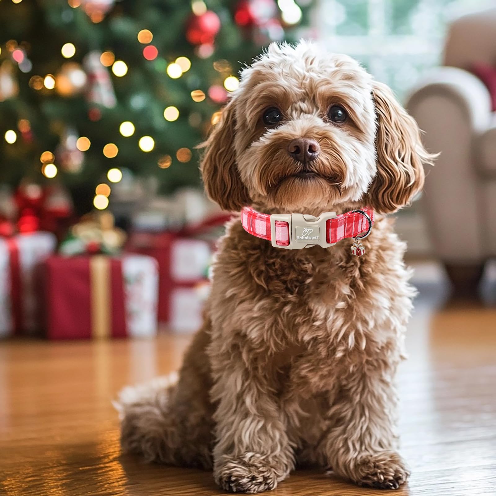 Babole Pet leash attachment point on D-ring shows reinforced strength.