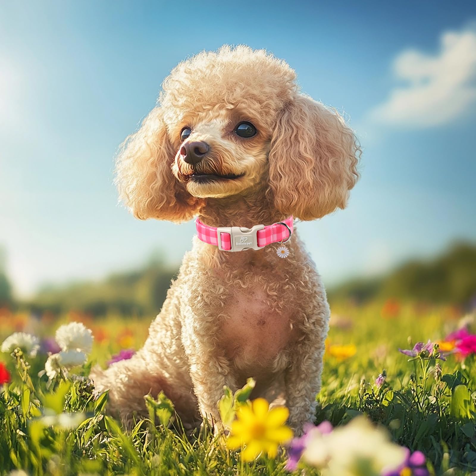 Babole Pet medium dog collar with quick-release buckle for easy on/off