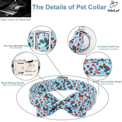 Babole Pet nickel-free metal buckle detail for skin-friendly wear
