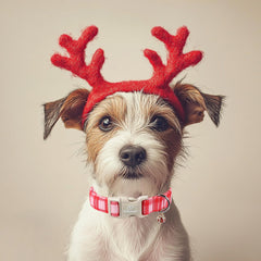 Babole Pet plaid pattern closeup highlights festive red and pink styling.