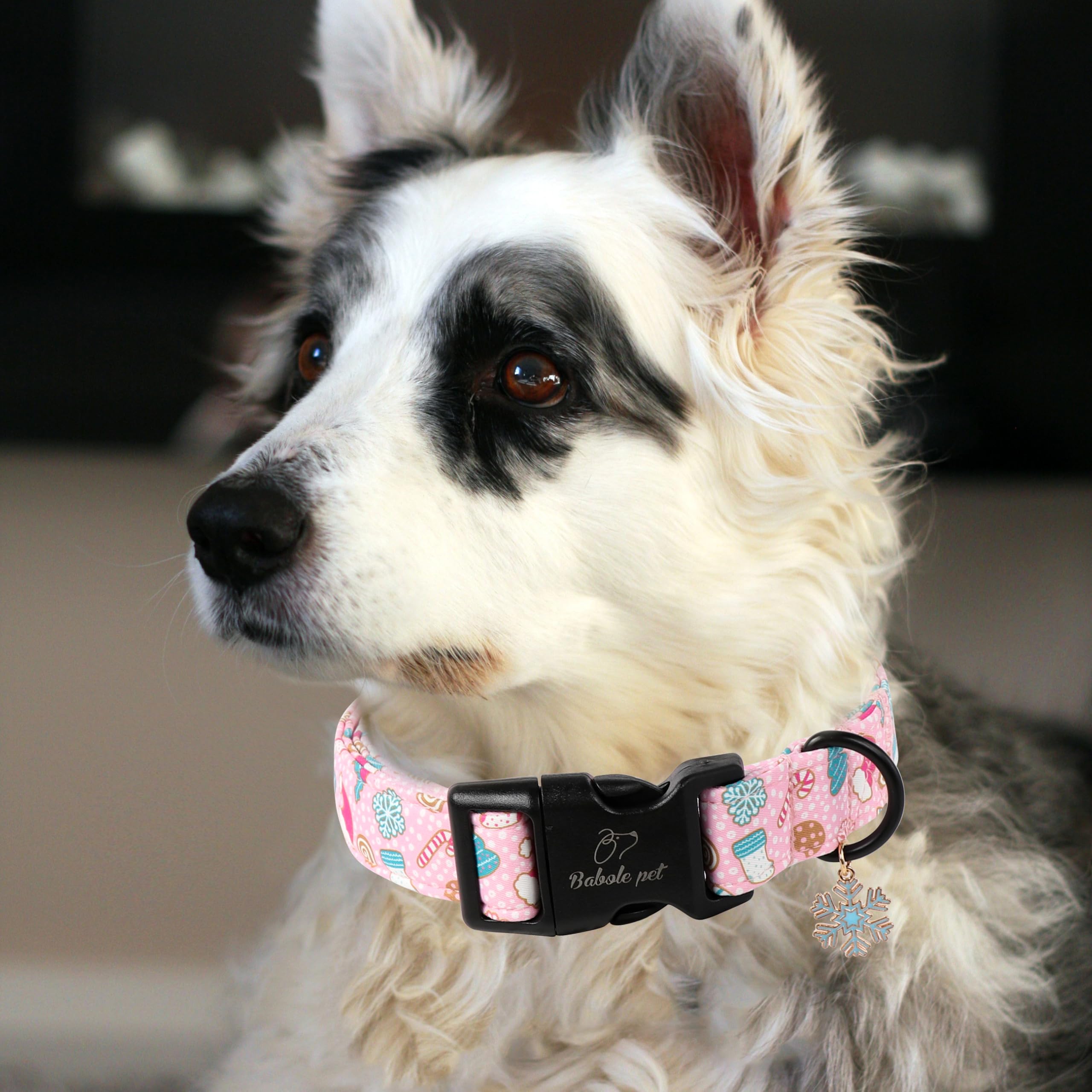 Babole Pet quick-release buckle collar XL ready for easy on off during walks