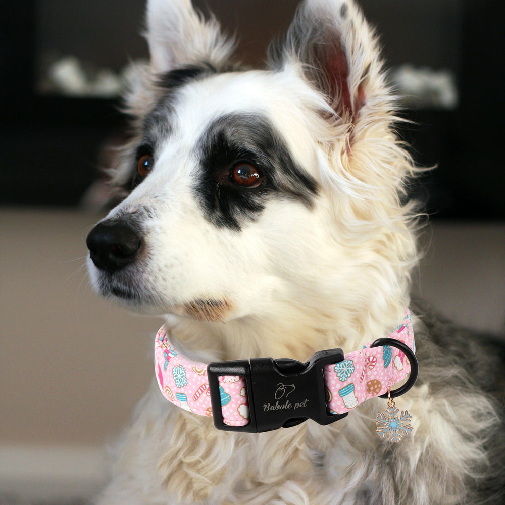Babole Pet quick-release buckle collar XL ready for easy on off during walks