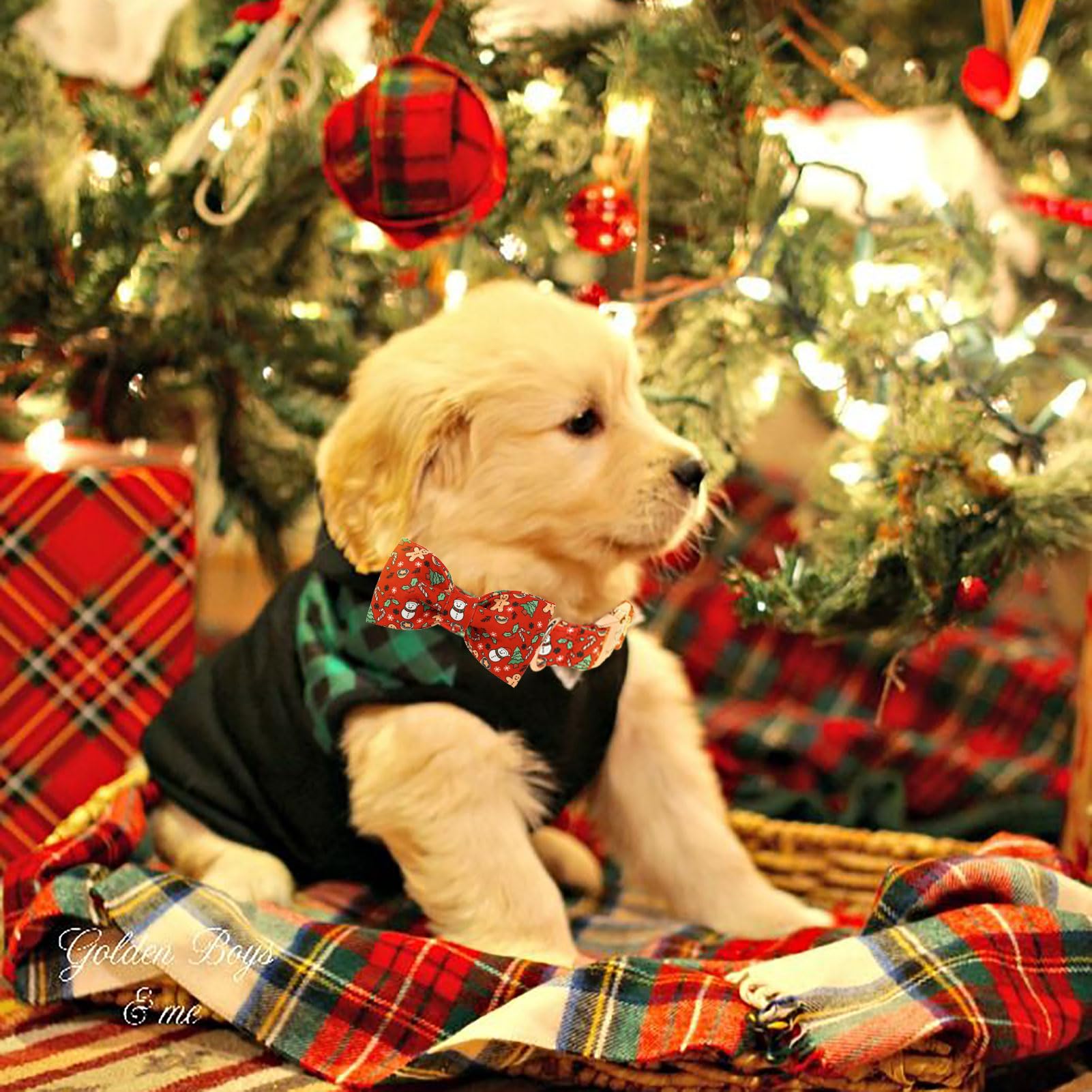 Babole Pet red Christmas collar with nickel-free buckle for everyday wear.