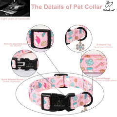 Babole Pet reinforced D-ring collar XL with secure stitching for leash durability