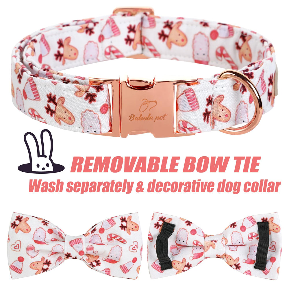 Removable bow-tie on Babole Pet collar enables quick DIY looks
