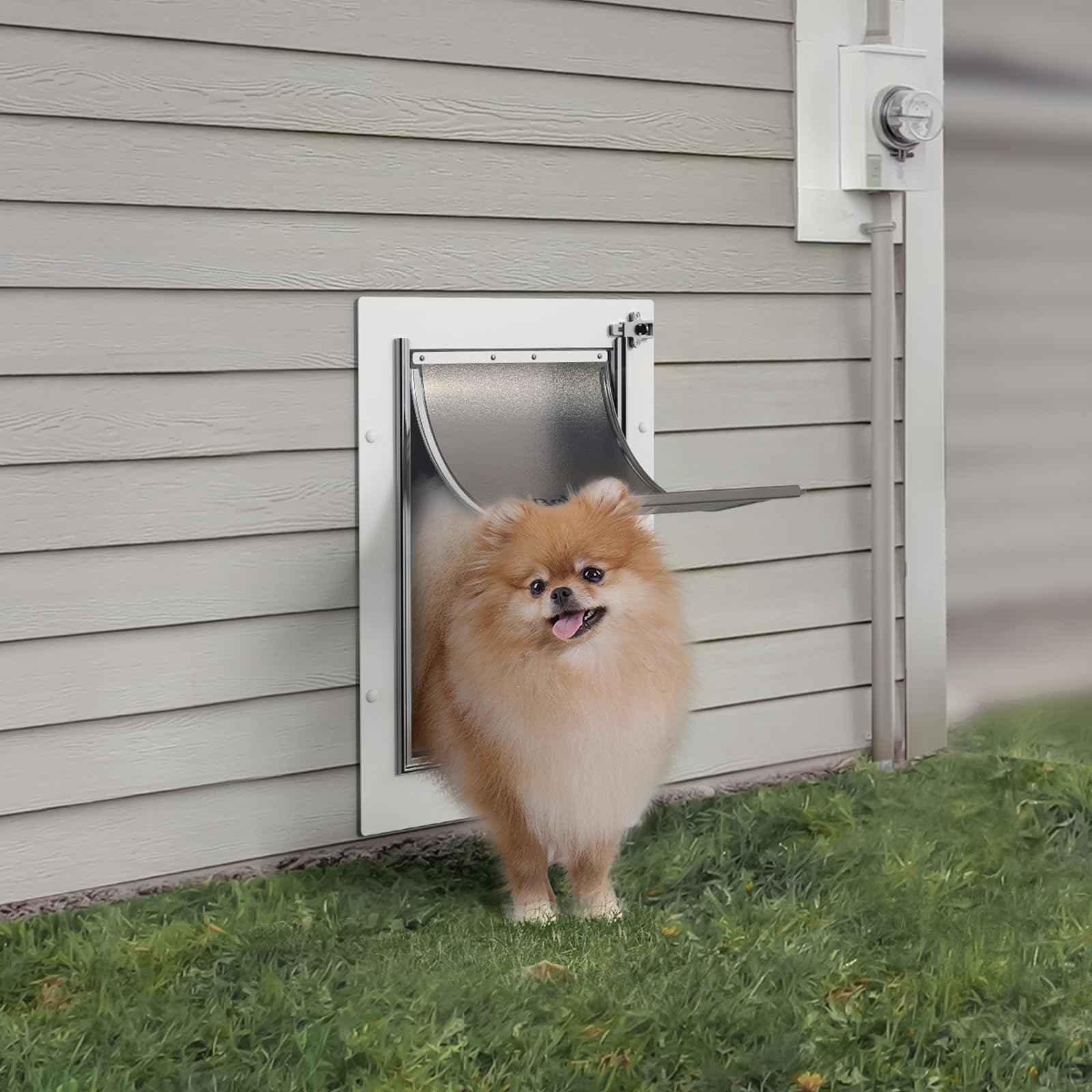Baboni pet door with aluminum lock for secure access.