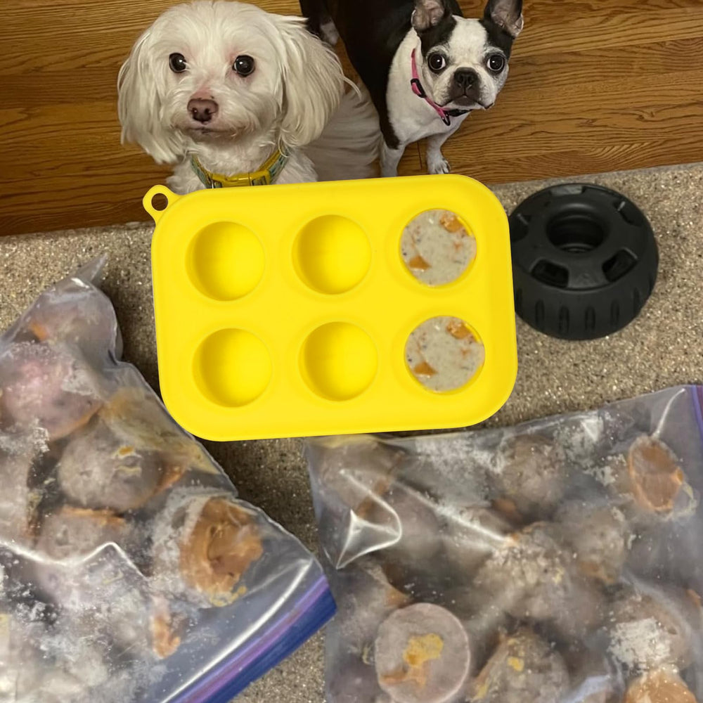 BABORUI mold filled with peanut butter and yogurt for DIY pup snacks.