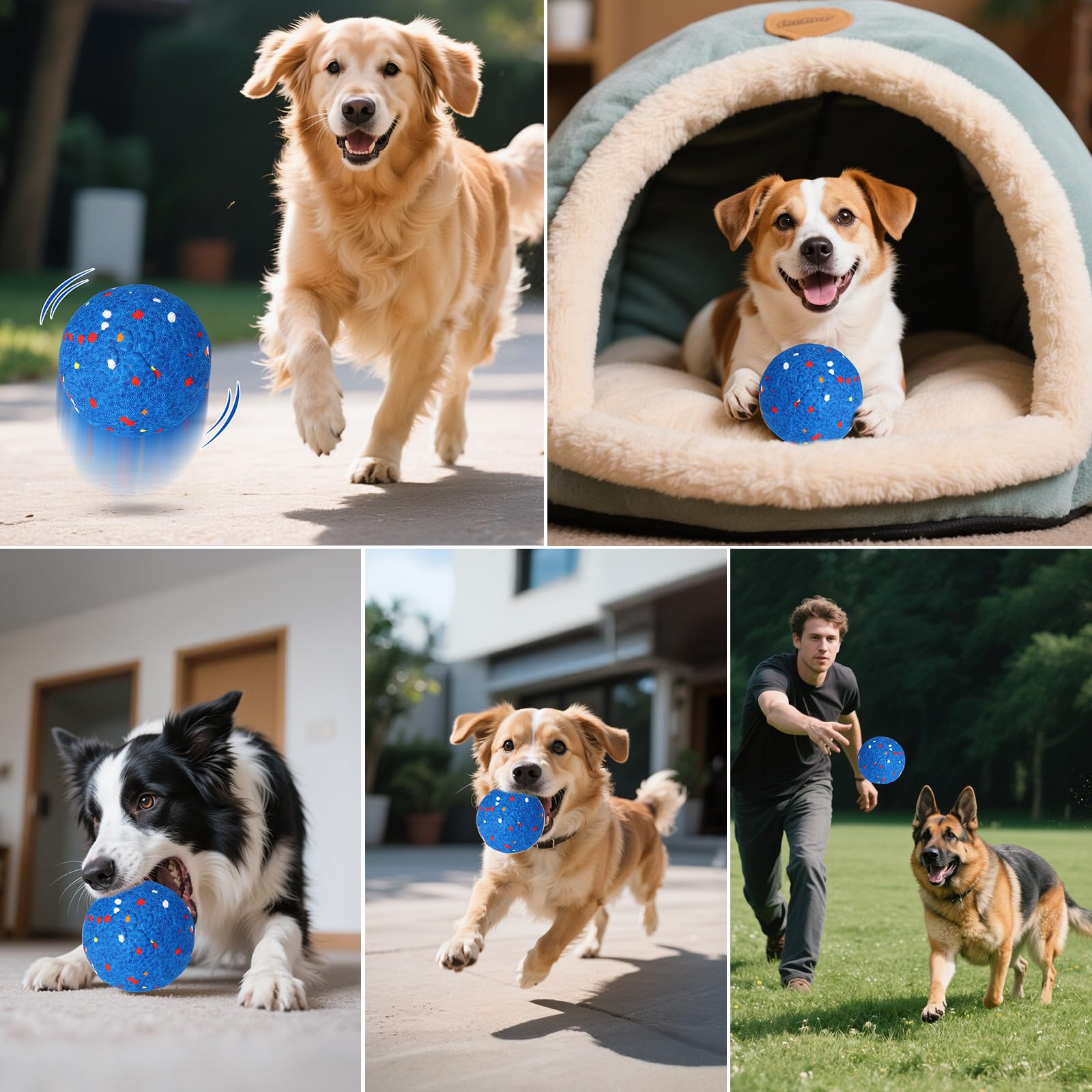 BABORUI dog ball in outdoor play creating zoomies and exercise.