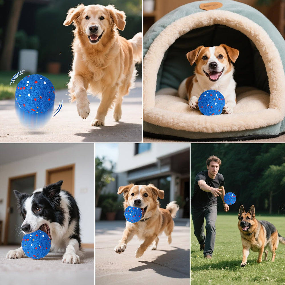 BABORUI dog ball in outdoor play creating zoomies and exercise.