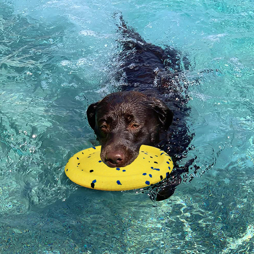 BABORUI juguete multiuso para juego en agua y tierra