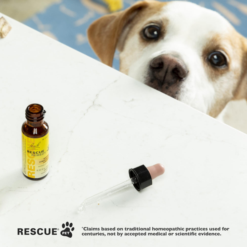 Bach Rescue Remedy Pet Dropper calming dog face close-up highlighting gentle relief potential.