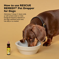 Bach Rescue Remedy Pet Dropper administering drops at home for nervous energy relief.