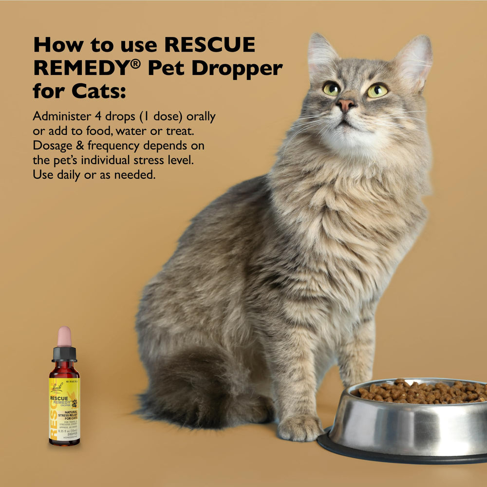 Bach Rescue Remedy Pet Dropper cat-use close-up showing calming support for cats.