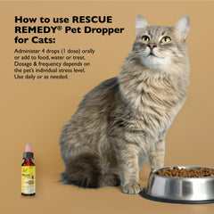 Bach Rescue Remedy Pet Dropper cat-use close-up showing calming support for cats.