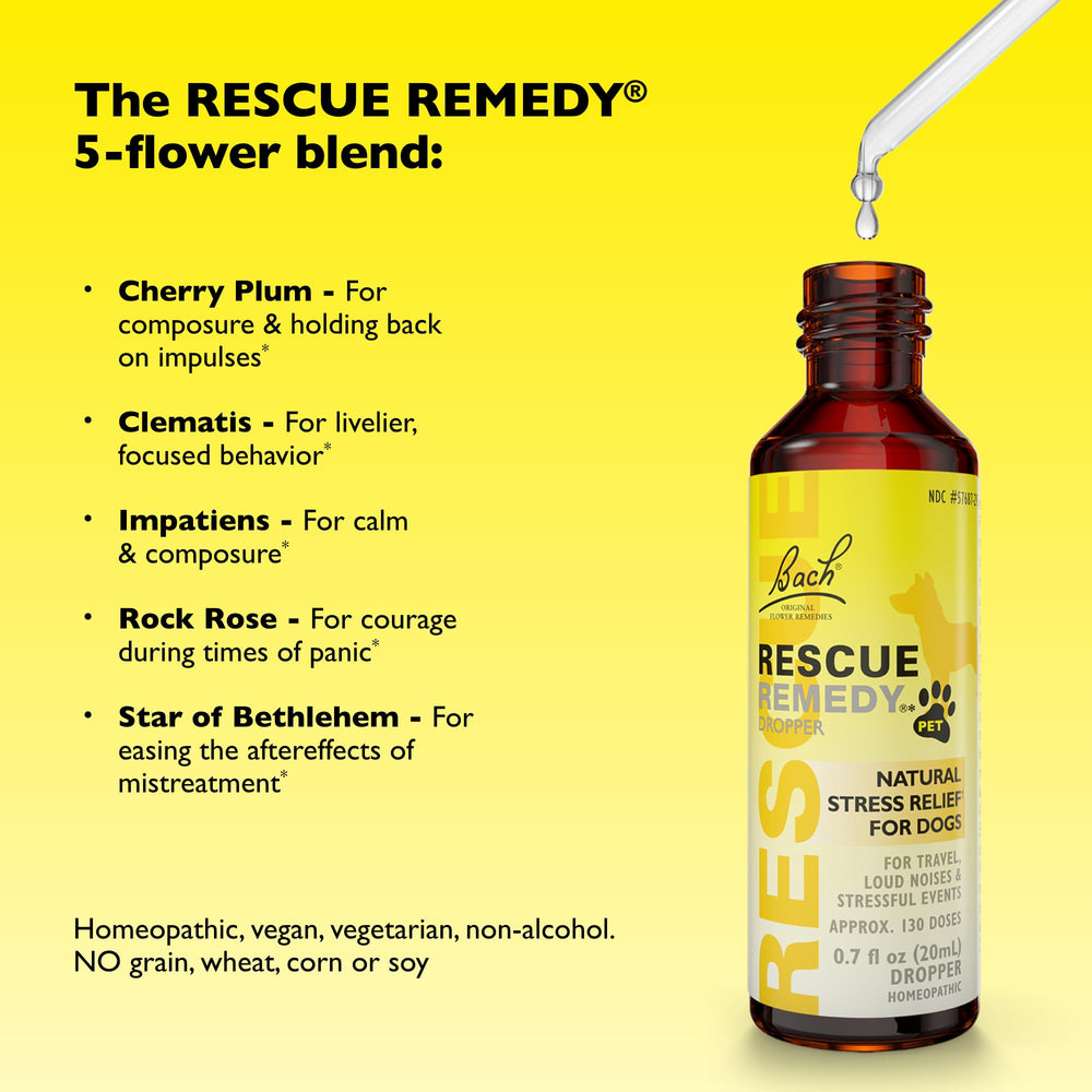 Bach Rescue Remedy Pet Packaging Box shown for convenient, ready-to-use calming support.