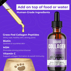 Back 40 Dogs drops for daily use in feeding routine