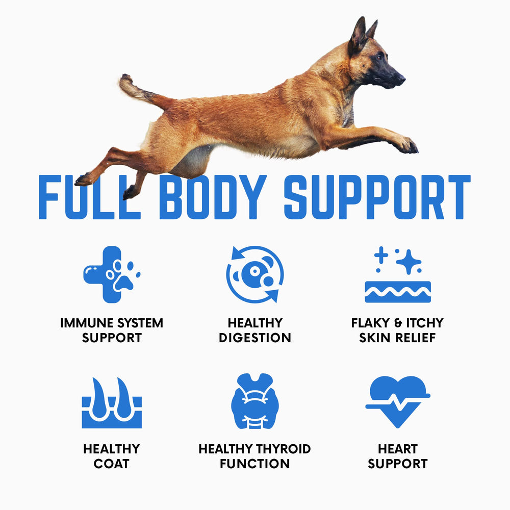 Back 40 Dogs iodine-rich kelp powder offers nutrient-dense support for metabolism and balance.