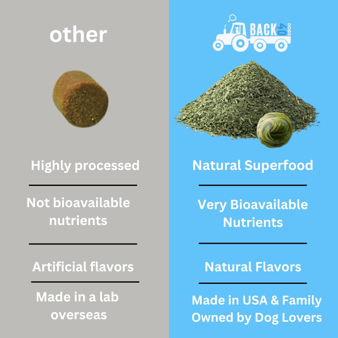 Back 40 Dogs kelp powder closeup reveals earthy texture ideal for sprinkling into meals.