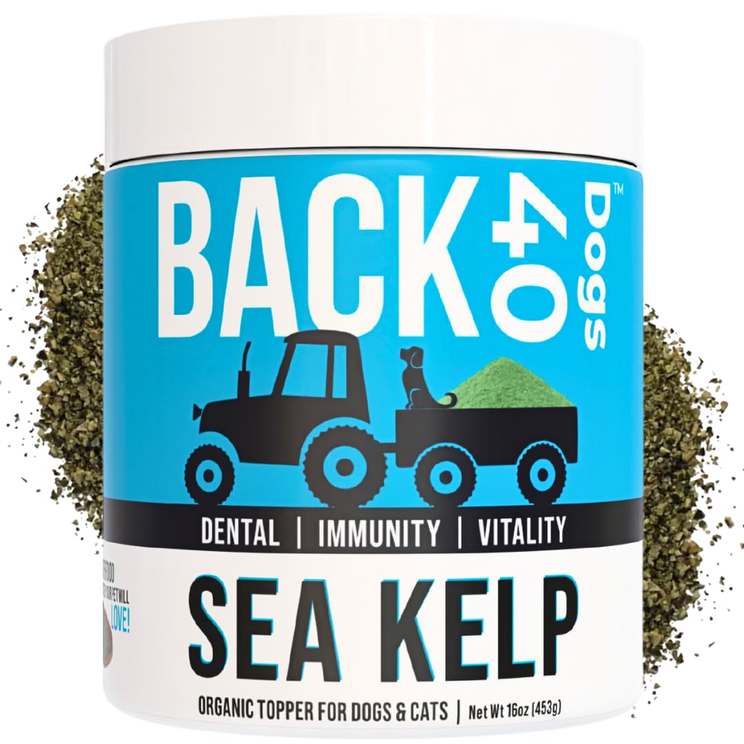 Back 40 Dogs organic kelp powder in a dog bowl supports easy daily nutrition and digestion.