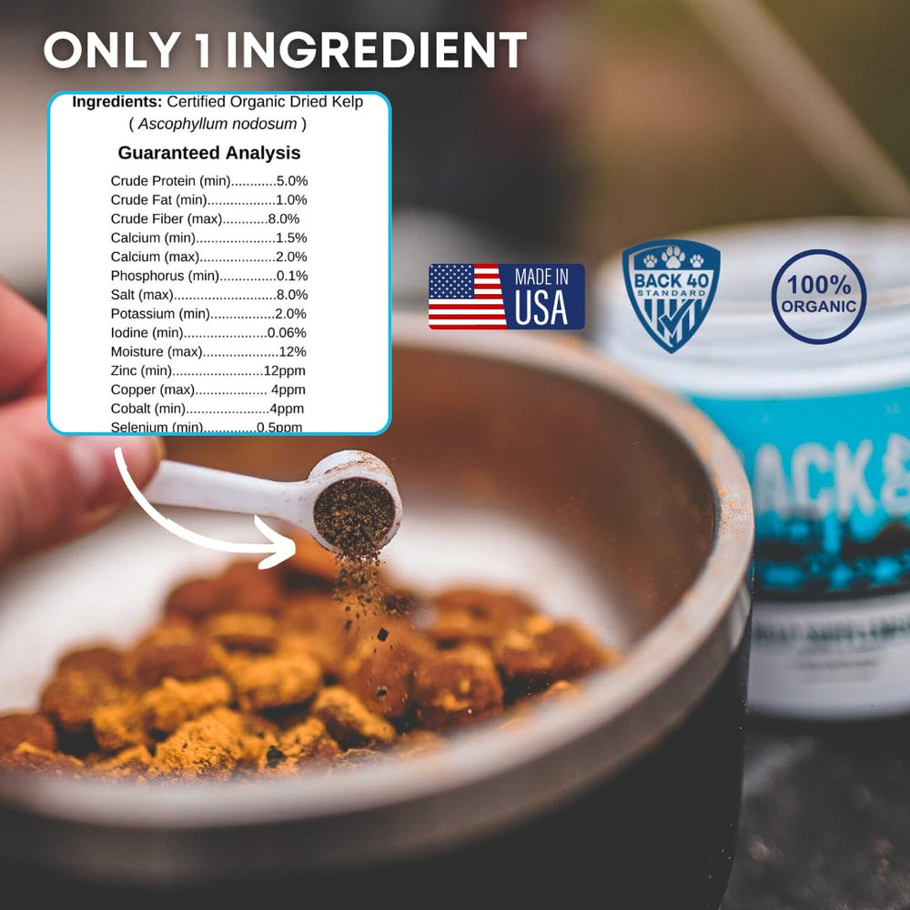 Back 40 Dogs kelp powder for dogs highlights potential for healthy skin and coat.