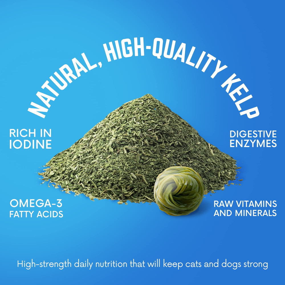 Back 40 Dogs organic kelp powder packaging highlights USA-made quality and premium daily nutrition.