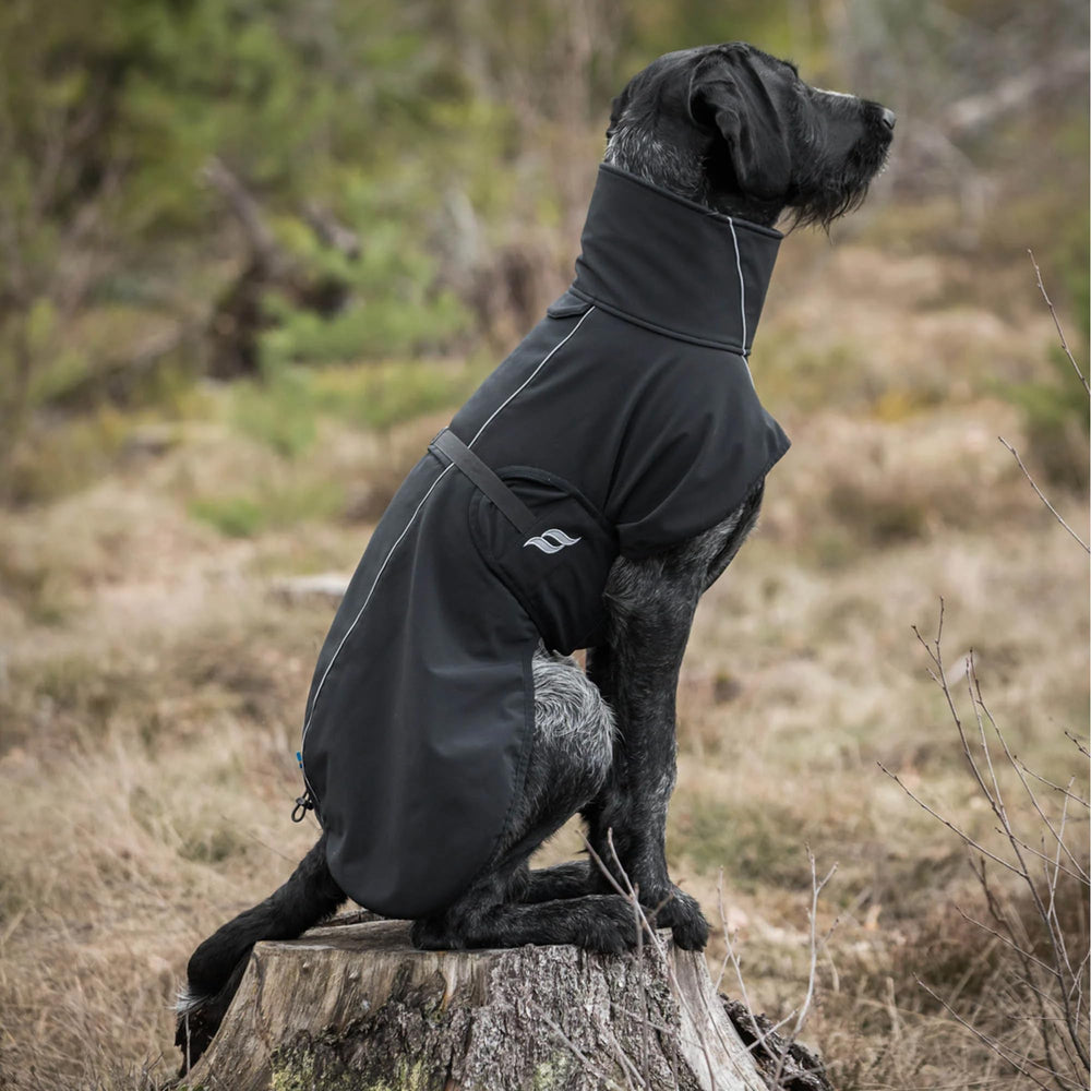 Back on Track Bark coat reflective safety accents enhance visibility during dusk walks