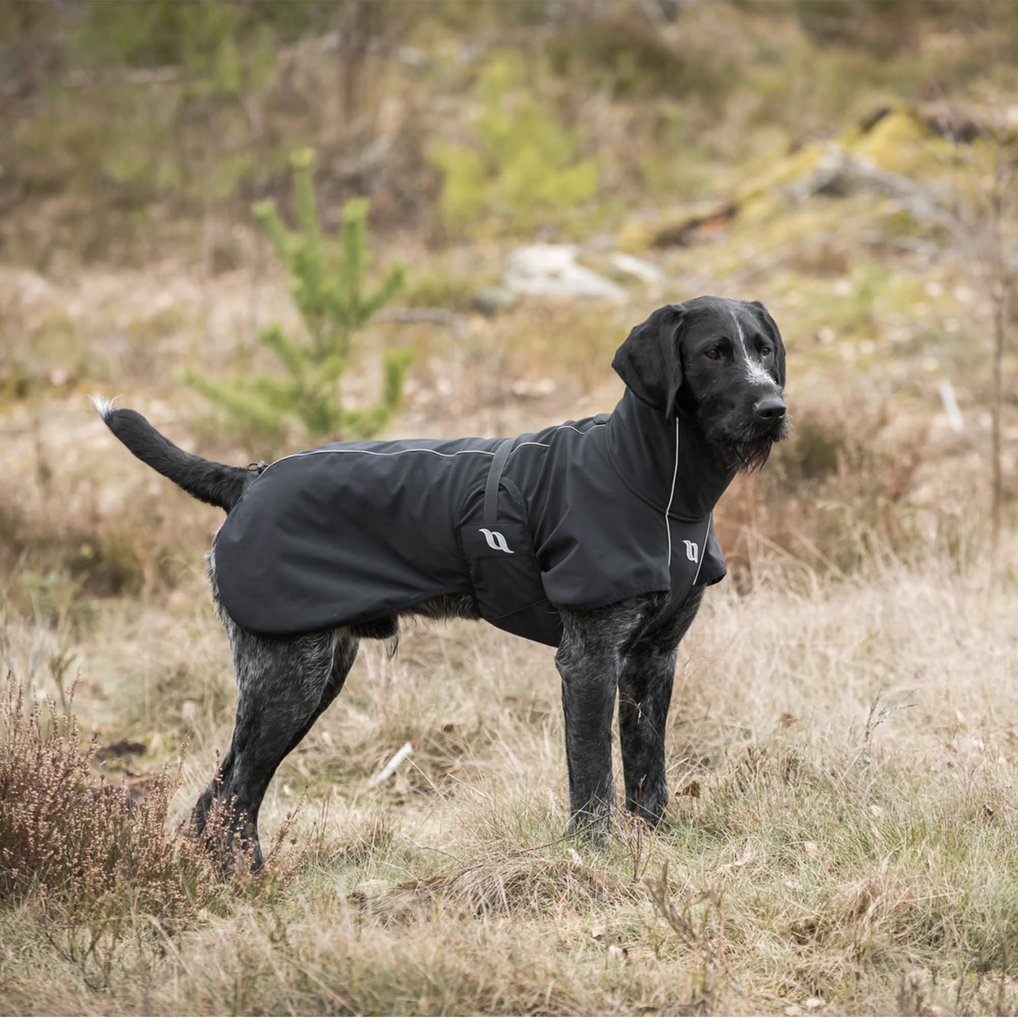 Back on Track Bark coat weather-resistant fabric keeps dogs dry in wind and rain