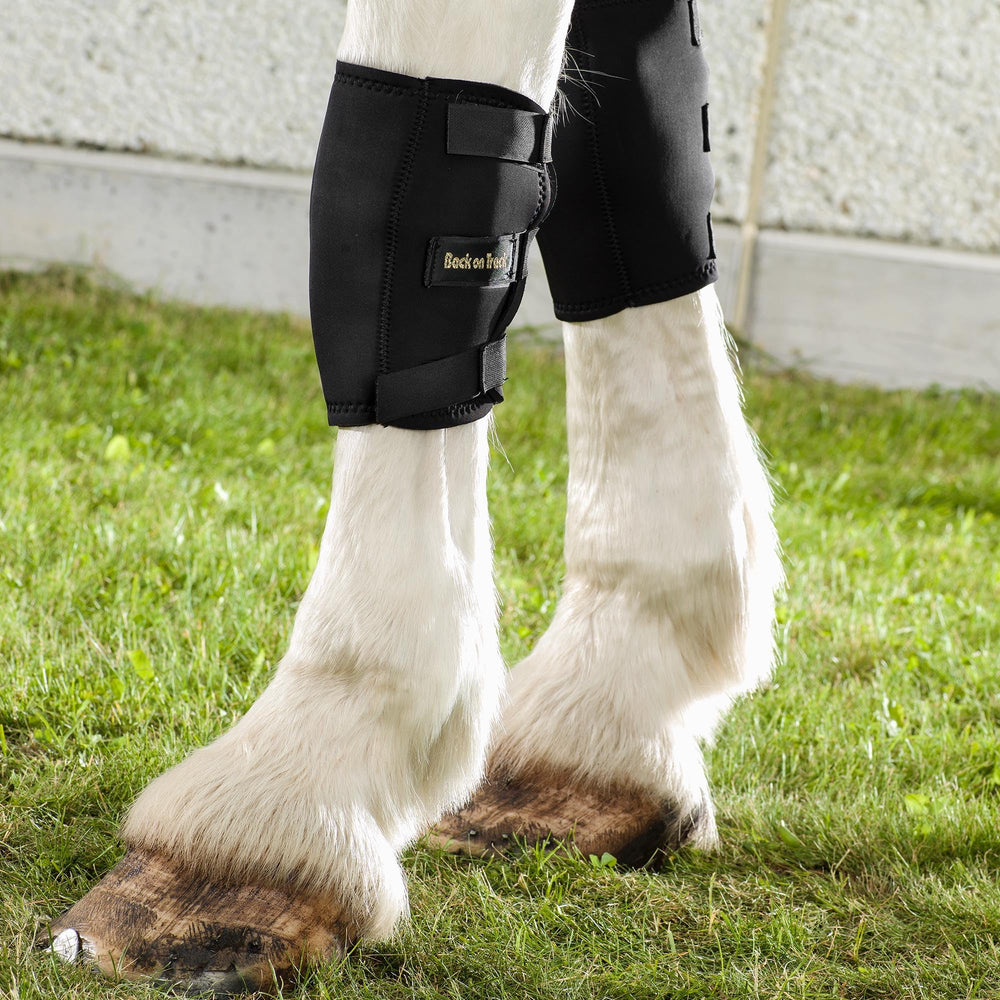 Back on Track Knee Boots Medium on-horse image demonstrating knee coverage and support.