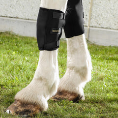 Back on Track Knee Boots Medium on-horse image demonstrating knee coverage and support.