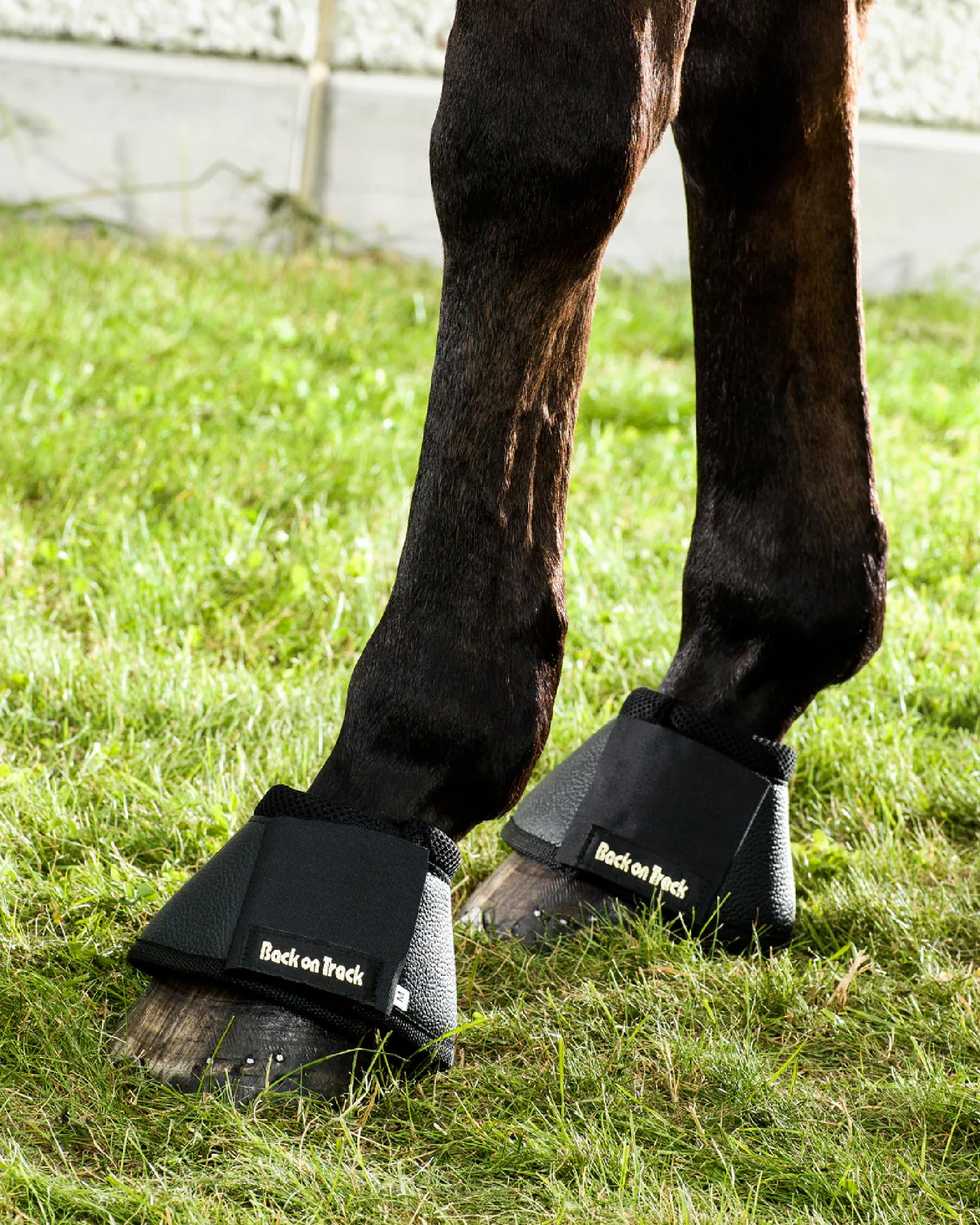 Back on Track neoprene exterior with Welltex lining emphasizing comfort during turnout and training