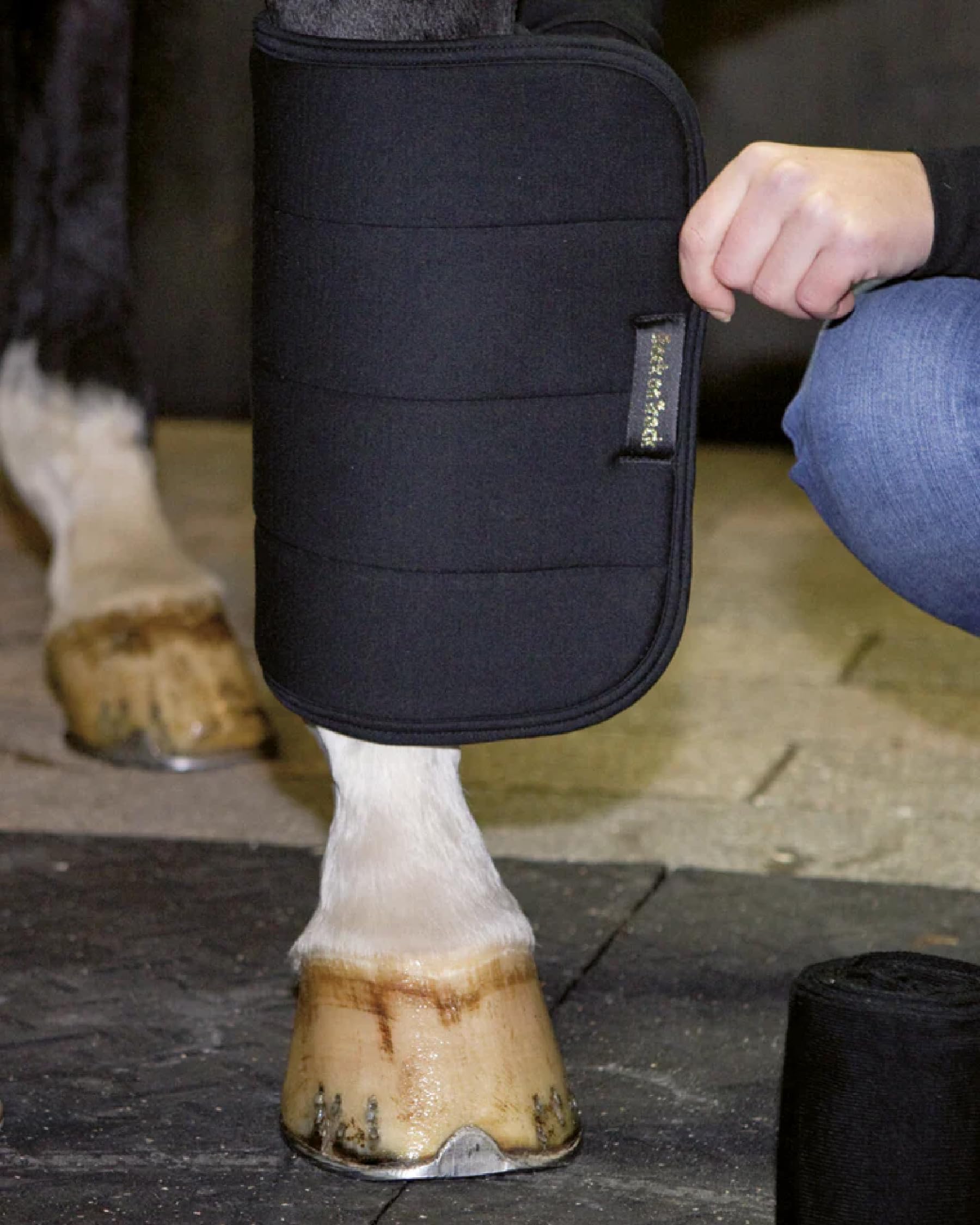 Back on Track No Bow Leg Wraps 2050 close-up with Welltex label and durable black fabric.