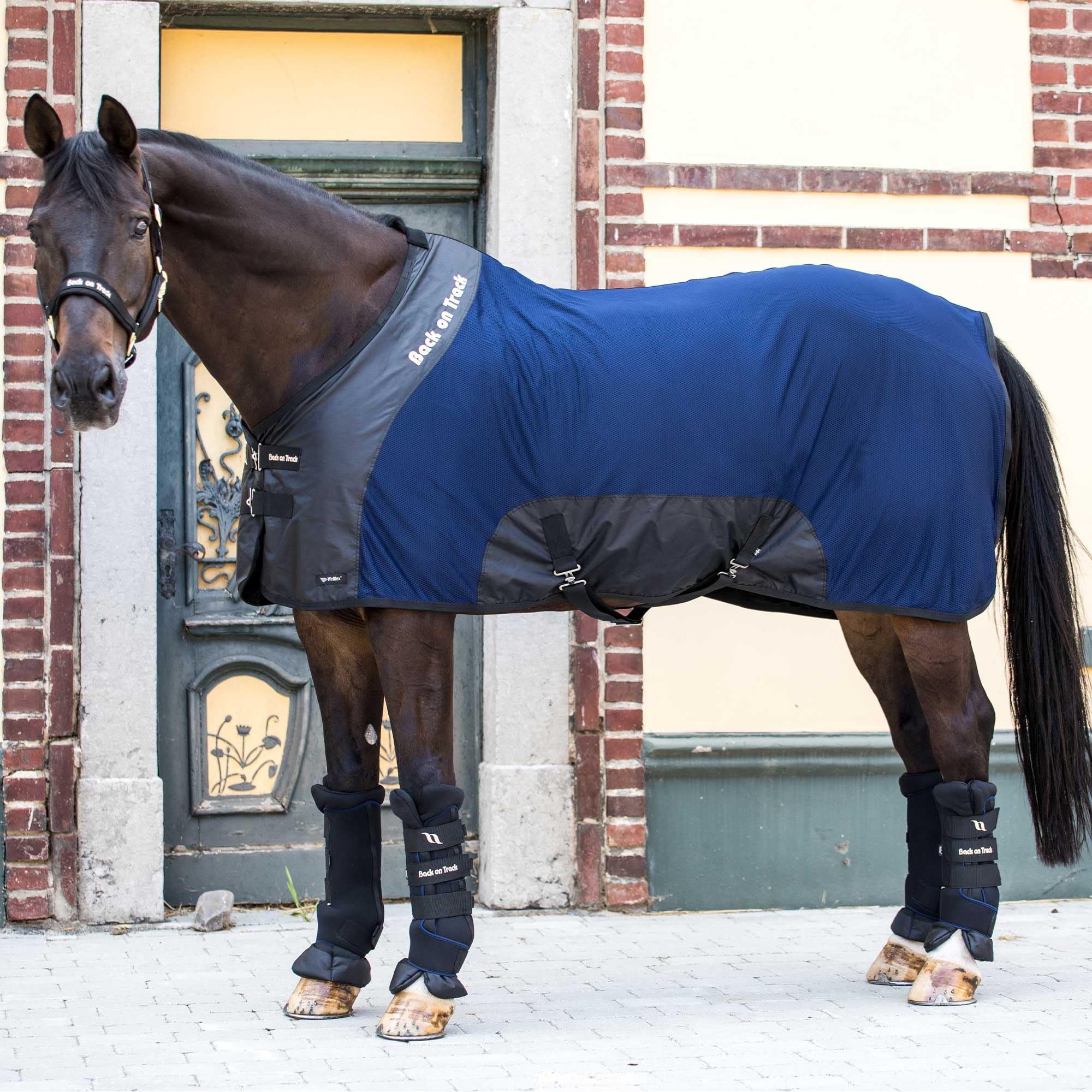 Back on Track Royal Mesh Sheet side view highlights airy mesh and fly protection