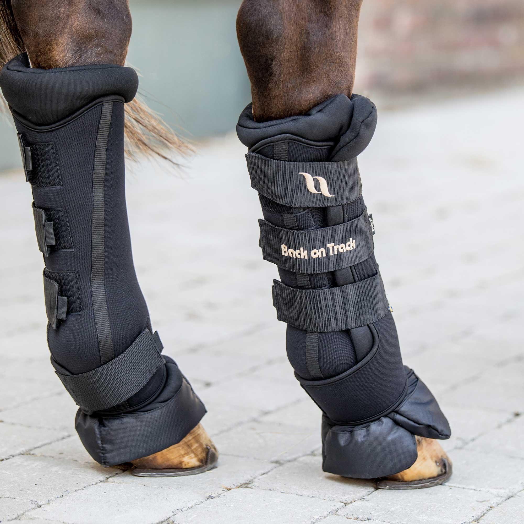Back on Track Royal Quick Wraps Deluxe water-repellent hoof-cover closeup shows dry protection.