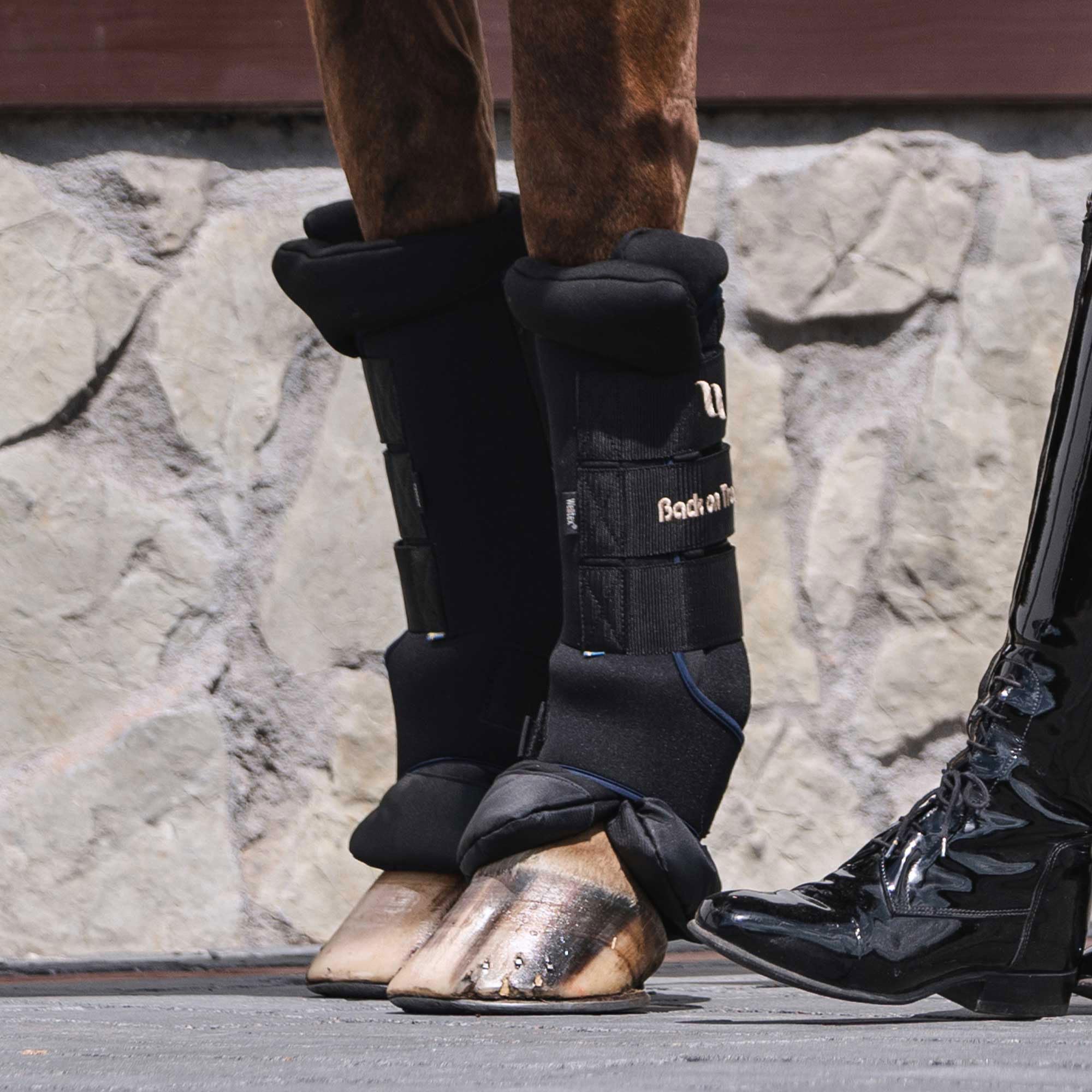 Back on Track Royal Quick Wraps Deluxe water-repellent-hoof-cover keeps the hoof dry.