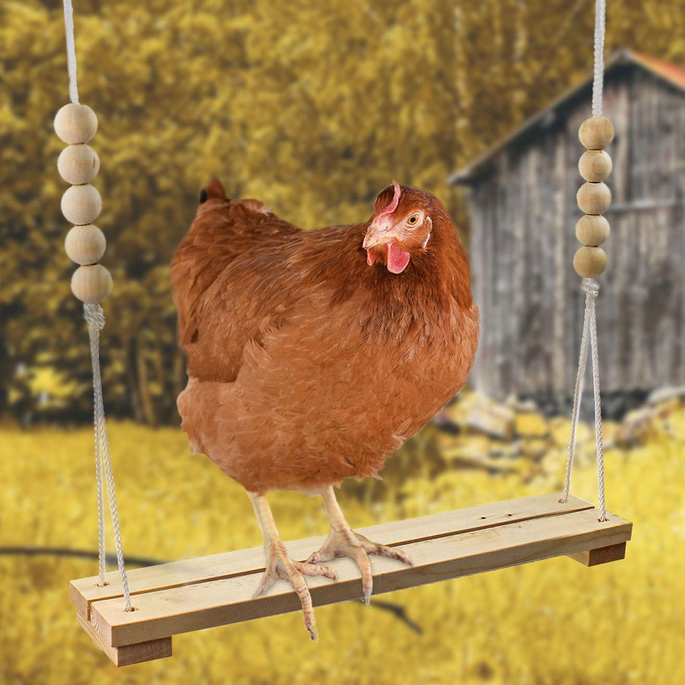 Backyard Barnyard coop accessory durable perch for poultry run and coop playtime.