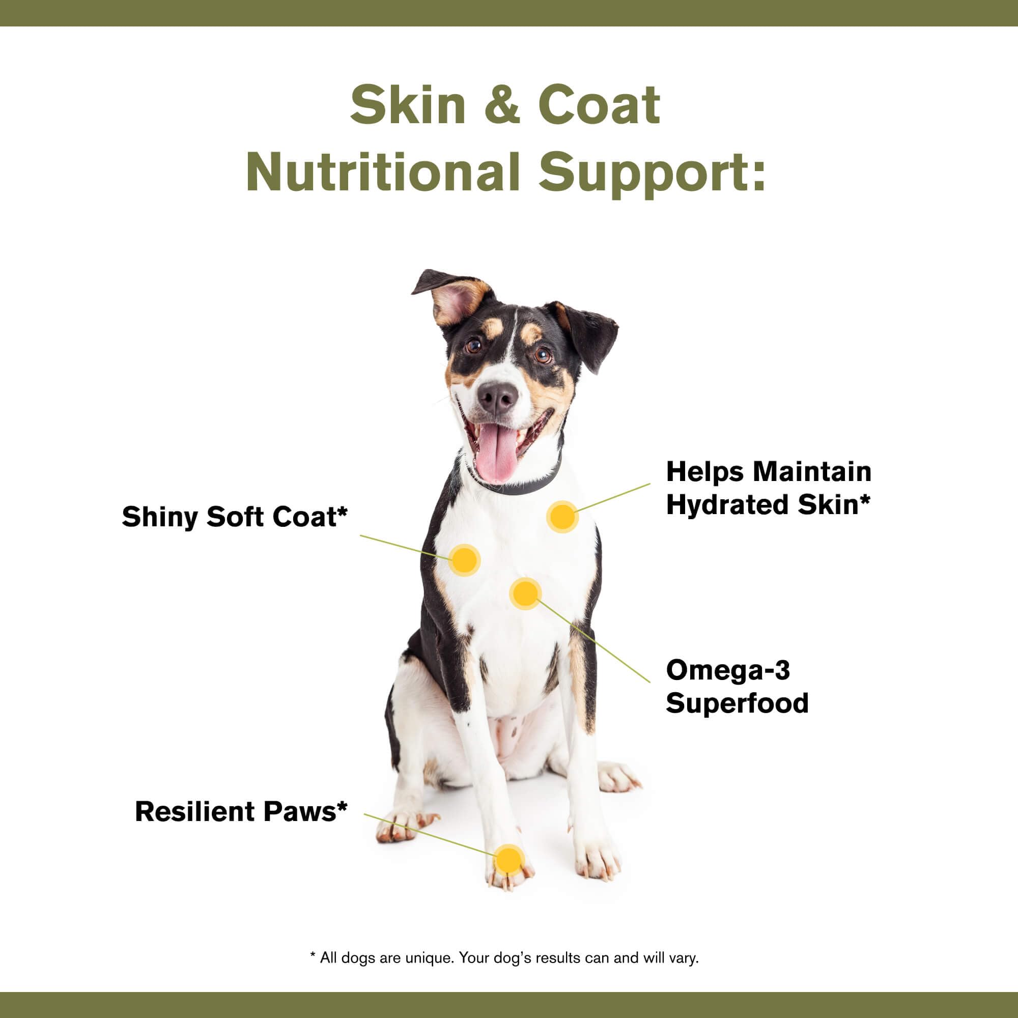Badlands Ranch antioxidant topper bottle showing coat shine and healthy-looking skin.