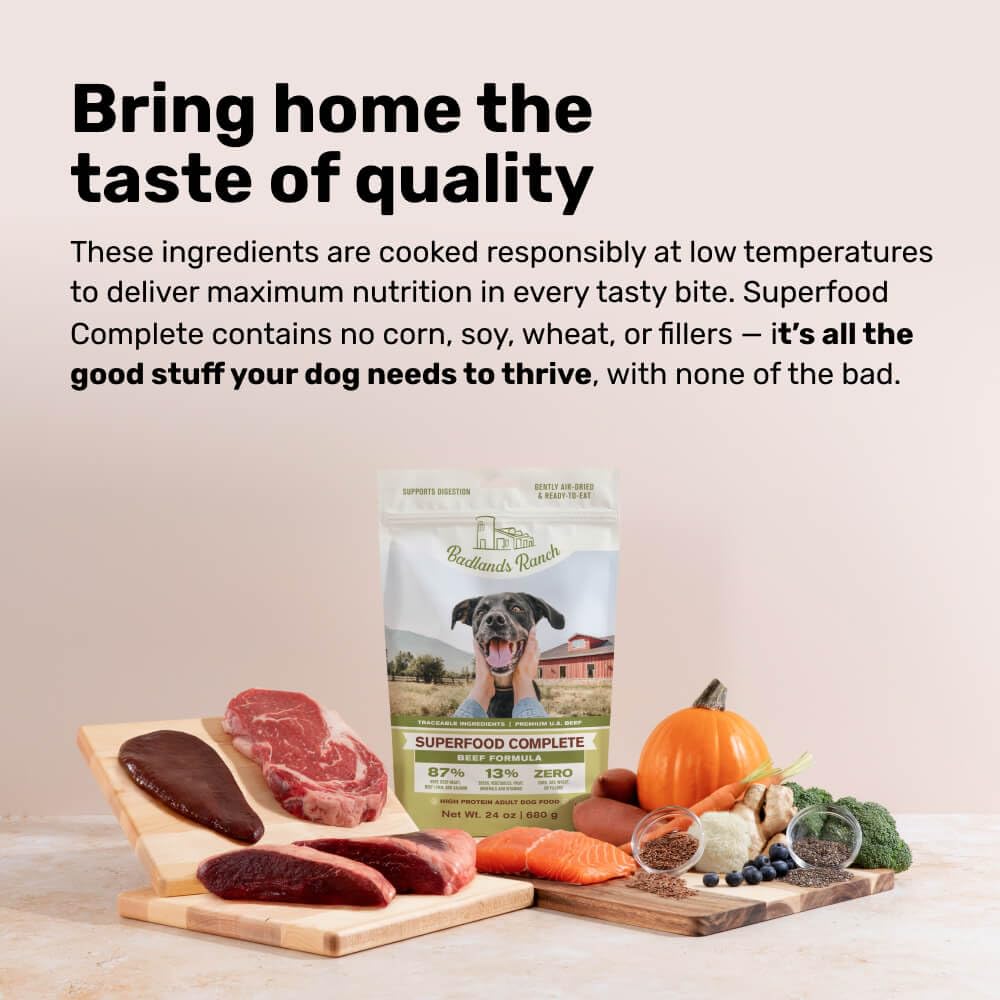 BADLANDS RANCH dog-enjoying-meal bowl captures real-life feeding satisfaction.