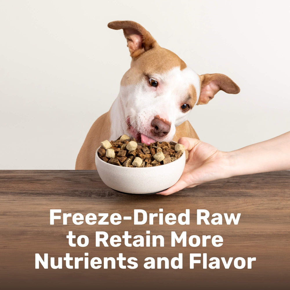BADLANDS RANCH freeze-dried-nuggets-collection-closeup—varied color and texture shows nutrient-dense recipe.