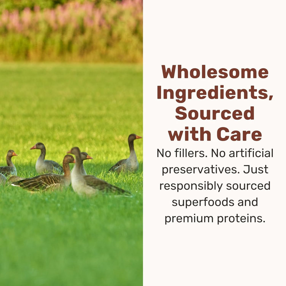 Ingredient card highlighting duck and kale in BADLANDS RANCH Nuggets