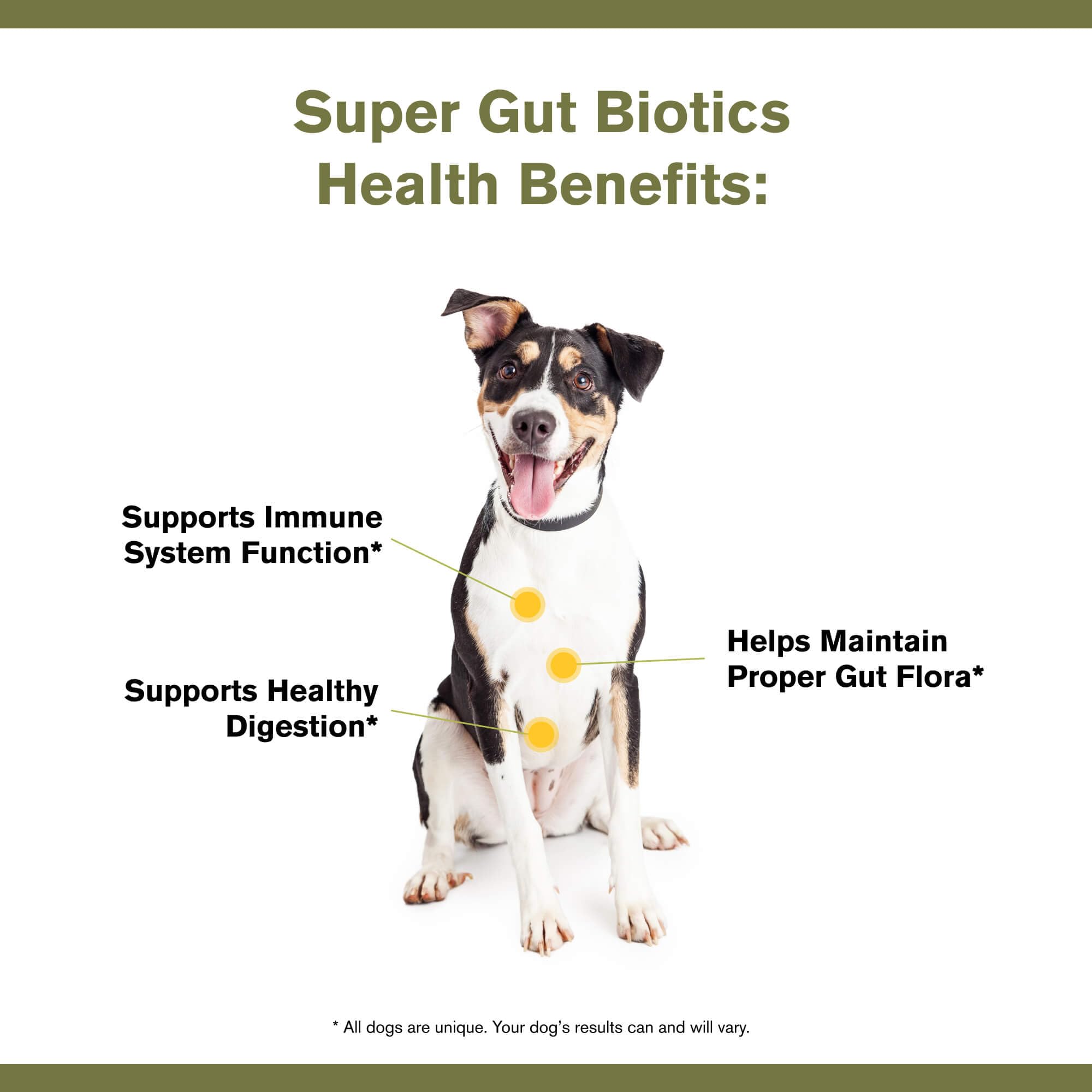 Badlands Ranch Super Gut Biotics third-party certified label ensures quality.