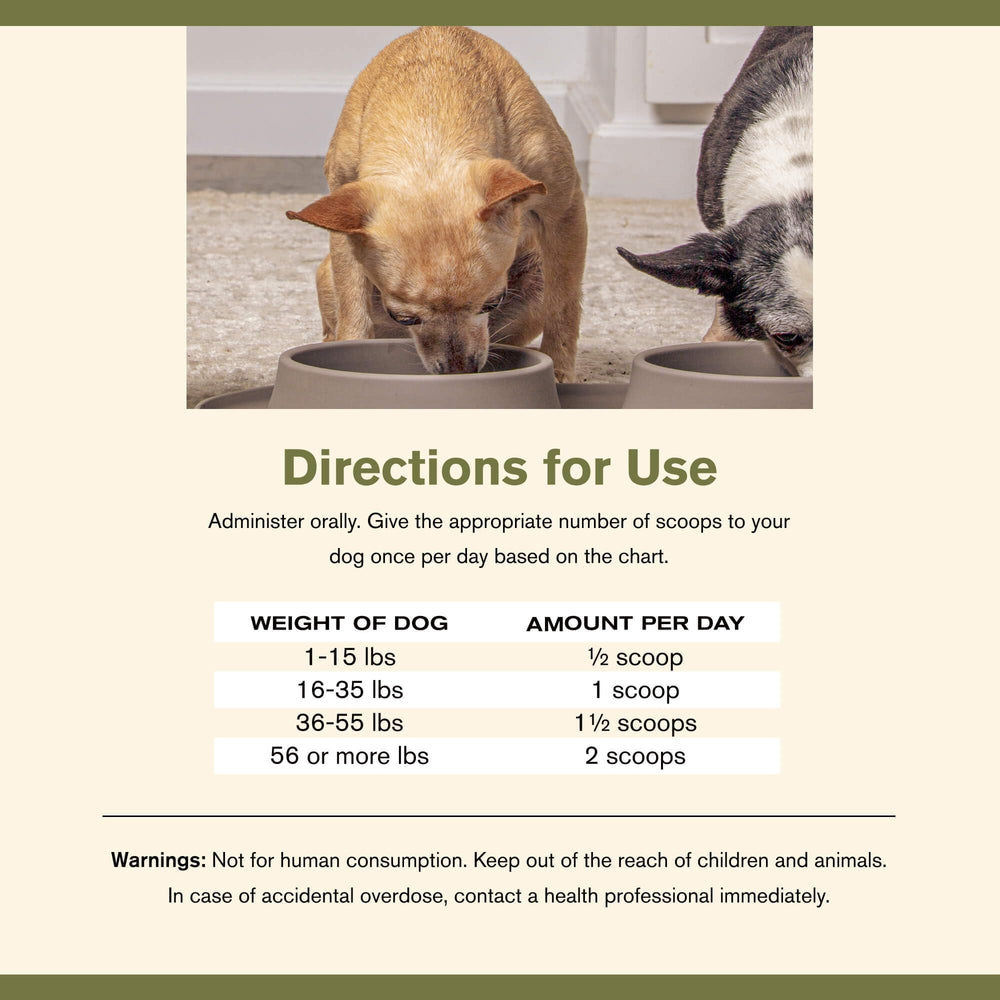 Badlands Ranch Super Gut Biotics easy-to-administer formula for busy pet parents.