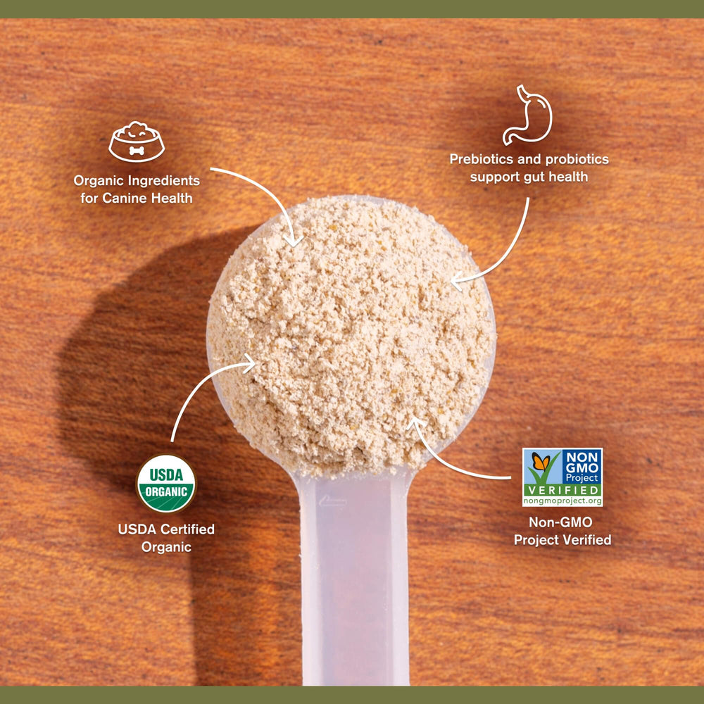 Badlands Ranch Super Gut Biotics Jerusalem artichoke prebiotic fuels healthy bacteria growth.