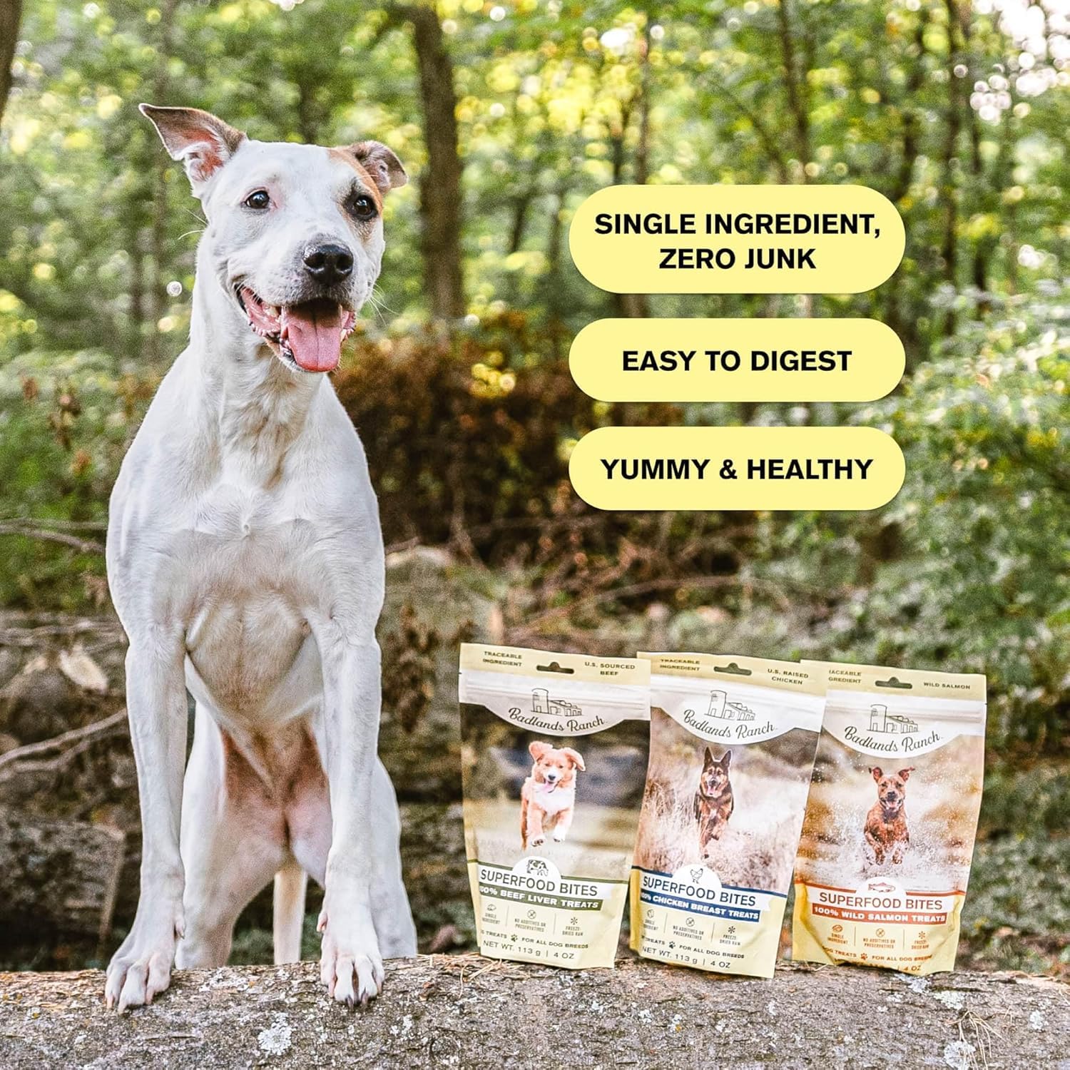 Badlands Ranch Superfood Bite single-ingredient label communicates simple, clean ingredients.